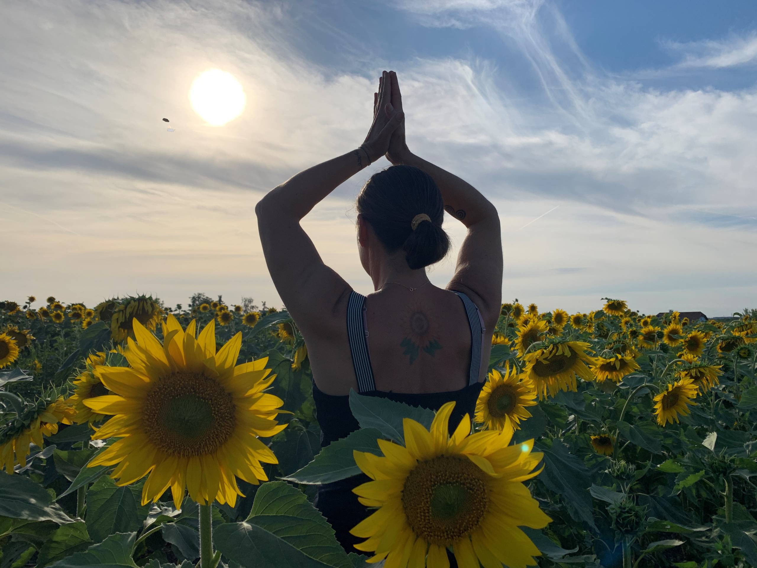 Die Werkzeugmacherin - Tina Eitzenberger-Sedelmaier - Stimmungsbild - Sonnenblumenfeld mit Frau in aufrecht stehender Yoga Figur